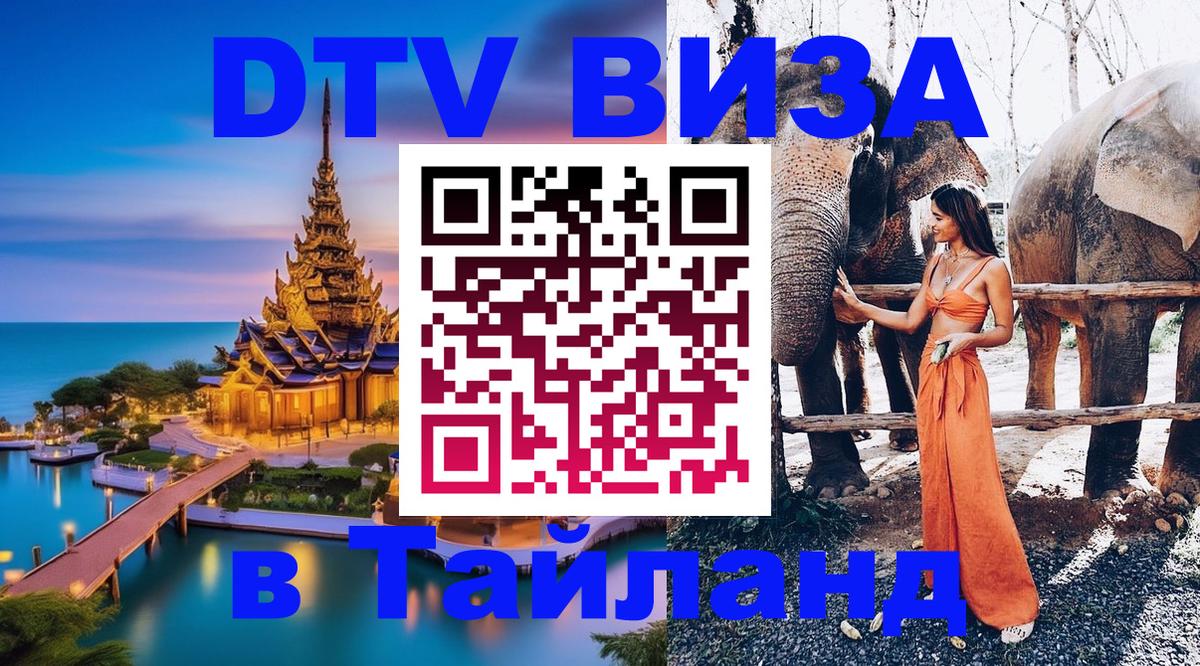 Сколько стоит DTV виза — актуальные цены, оформление даже без документов - Электросталь  19.11.2025 